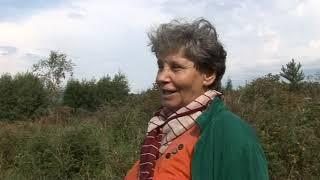 Любовь Петухова. У бабушкиного дома