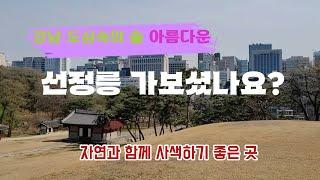 [캡컷 PC 교육] 강남 도심속의 숲 아름다운 선정릉 가보셨나요?