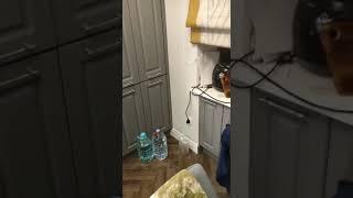 Кухня Неоклассика от www.kuhninovogireevo.ru,   https://t.me/mebelzov,  kuhni_bel, wa89265913182