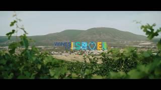 Wine is Innovation - Trailer