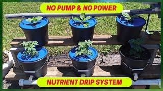 Easy To Build DIY Hydroponic Dutch Bucket System No Pump & No Power | Bato Bucket System | Part 1