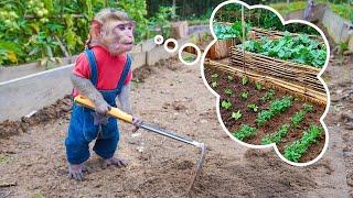 MiMi's fun farming day and learning how to plant seeds in her mother's beautiful garden