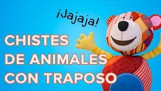 Chistes de animales cortos muy divertidos para niños 