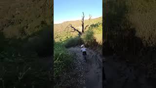 Sliding down the steeps #kidsonbikes #downhill #optoutside