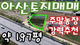 [매물193]아산토지매매 / 주말농장 강력추천 / 단독주택  소규모 창고 / 생산관리 197평 / 손님들이 가장 좋아 하는 평수대 / 현금화 하기도 쉬움