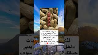 ستوريات دينيه /️️