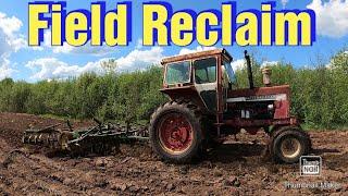 Reclaiming a Field/Brush Mowing/Plowing/Discing/Spreading Manure