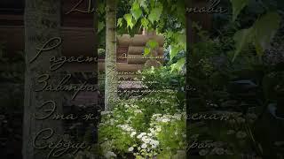 Анна Ахматова "Дверь полуоткрыта..." Стихи читает Таня Тумилевич. #стихи #poem  #поэзия