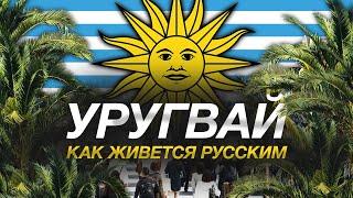 Новый тренд иммиграции для русских в 2023 | Круче, чем Дубай и Кипр почему? | Плюси и минусы жизни