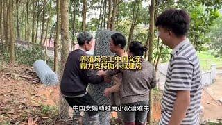 中国女婿助越南小叔渡难关建中式平房，中国父亲鼎力支持，养殖场彻底完工，900买头牛值不值