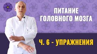 Питание головного мозга, ч.6 – упражнения