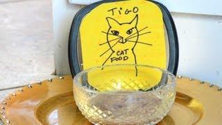 Homemade Cat Food : How to Make Cat Food