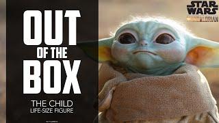 The Child by Sideshow Collectibles  | Out of the Box