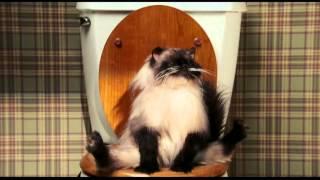 Date Movie - Kitty Takes a Dump