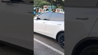테슬라 문열고 시동거는 법 #모델y #테슬라 #modely #tesla