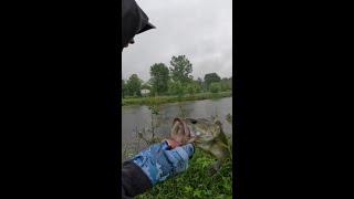 BEST Time to Fish IS in the Rain #fishing #bass #youtubeshorts #youtube #fish