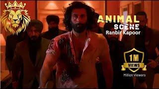 Ranbir kapor killing her sister husband ..ANIMAL MOVIE CLIP #animalmovie #animalmoviesongs #animals