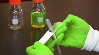 Using a Transfer Pipet