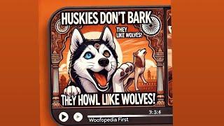 : "Husky: The Dog That Thinks It's a Wolf! "!