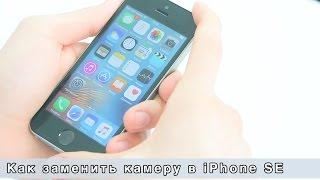 Как заменить камеру в iPhone SE | Сервисный центр Apple | iFix