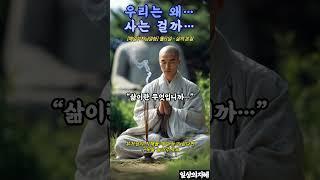 우리는 왜 사는걸까? [일상스님-매일부처님말씀] #일상스님 #부처님말씀 #삶의의미 #명상 #불교쇼츠 #철학명언 #고요한영상 #시작이되는질문