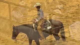 Bella Hadid Competes at the National Horse Cutting Competition, Texas