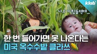 미국 영화에 '옥수수밭'이 자주 나오는 이유｜크랩