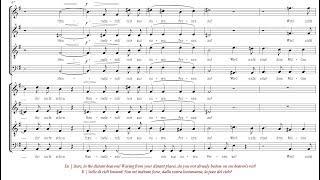 Schumann | An die Sterne [á 8; The Netherlands Chamber Choir]