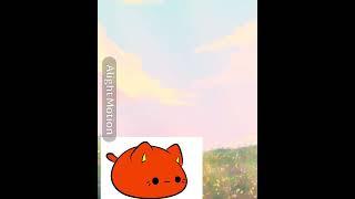 #meowchi