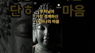 부처님이 가장 경계하신 단 하나의 마음