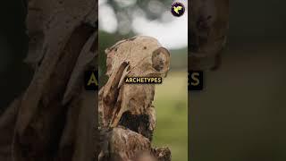 Modern Witchcraft: Animal Symbolism & Magic