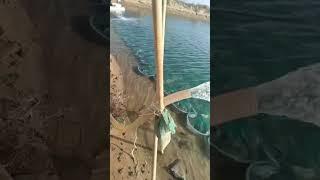 Увлекательная  прогулка на  частном пруду