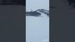 Первая,открытие сезона