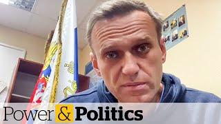 Putin critic Alexei Navalny jailed upon return to Moscow