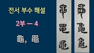 전서 부수 해설 2 ㅡ4 (篆書部首解說-龜, 黽)서예 붓글씨 書法 書道 캘리그라피 ASMR  calligraphy