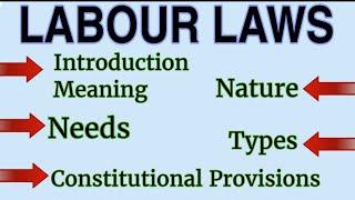 Labour Law Introduction: Meaning, Types, Nature, Need & Constitutional Provisions of Labour Law