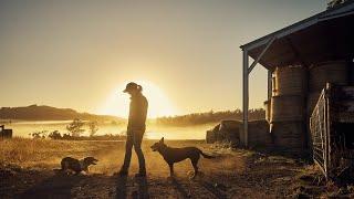 Victorian farmers struggling amid severe drought threat