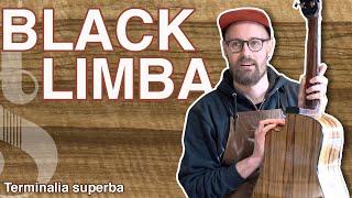 BLACK LIMBA ('KORINA') - Gibson's big secret! -  Terminalia superba - Tommy's Tonewoods
