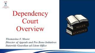 Dependency Court Overview (Course 2203817N)