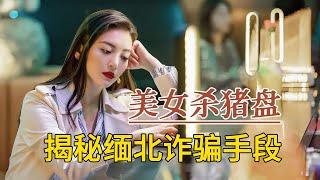 緬北電詐實錄 迪麗熱巴/佟大爲合作，向敵人髮起進攻  一口氣看完《公訴精英》全集