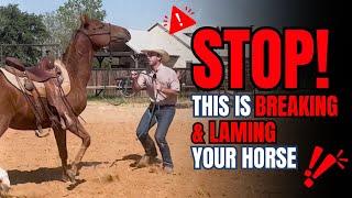 Never Do These Horrible Natural Horsemanship Exercises Again (If You Like Your Horse)