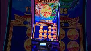 Tiger bonus on Tiger & Dragon slot machine!  #slots #gambling #casino