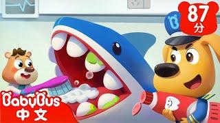 【新劇集】不要害怕看牙醫 | 車車 | 動畫 | Kids Cartoon | 安全教育 | 安全警長啦咘啦哆 | 寶寶巴士 BabyBus