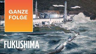 Fukushima: Die ersten 88 Stunden der nuklearen Katastrophe | NATURKATASTROPHE