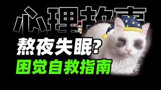 重度失眠，我是如何成功自救的？【心理故事&牛顿】