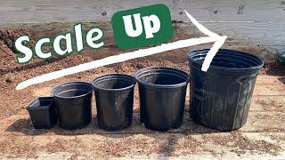 Going BIG - How to scale UP your small nursery!