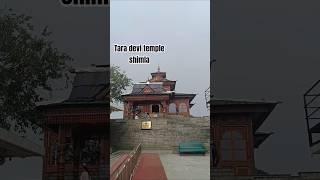 Tara Devi Tample Shimla #shimla #song #mountains #himachalpradesh #tample #love #hindisong #suit