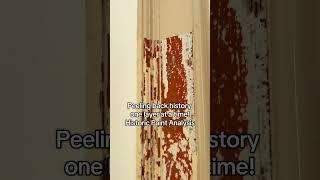 Peeling Back History, One Layer at a Time! Historic Paint Analysis!  #HistoricHouse