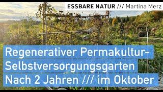 Reiche Ernte und wichtige Learnings in unserem Permakulturgarten nach 2 Jahren /// Mitte Oktober