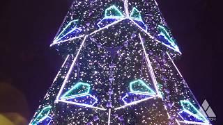 Ель Полигональная. Ёлкин Дом | Christmas Tree Рolygonal. Elkin Dom